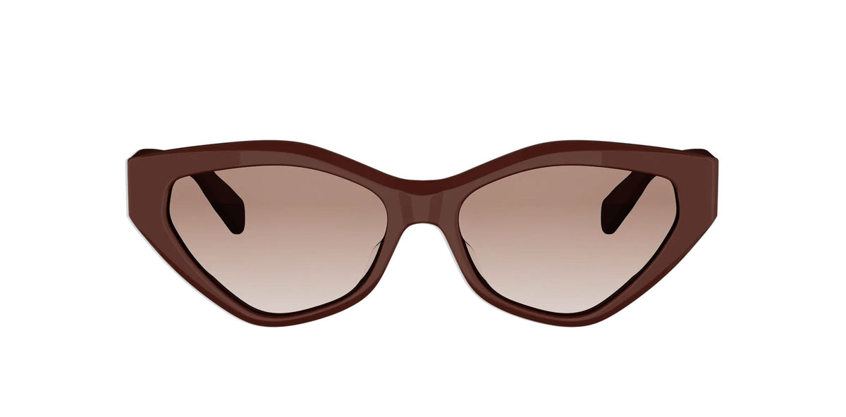 CELINE Triomphe CL40323U
