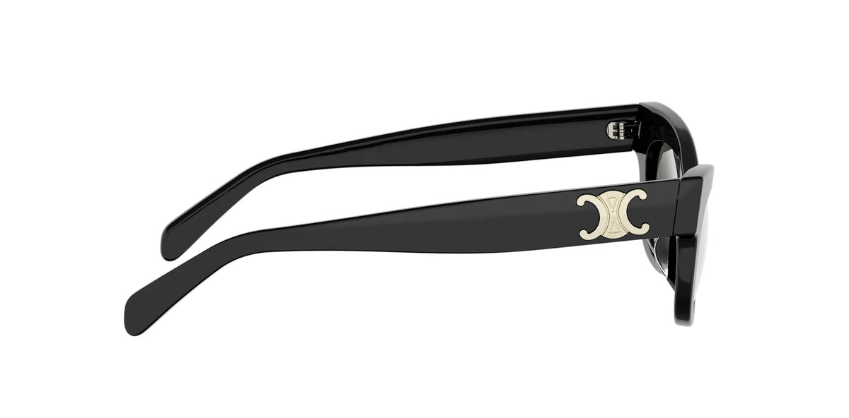 CELINE Triomphe CL40352U