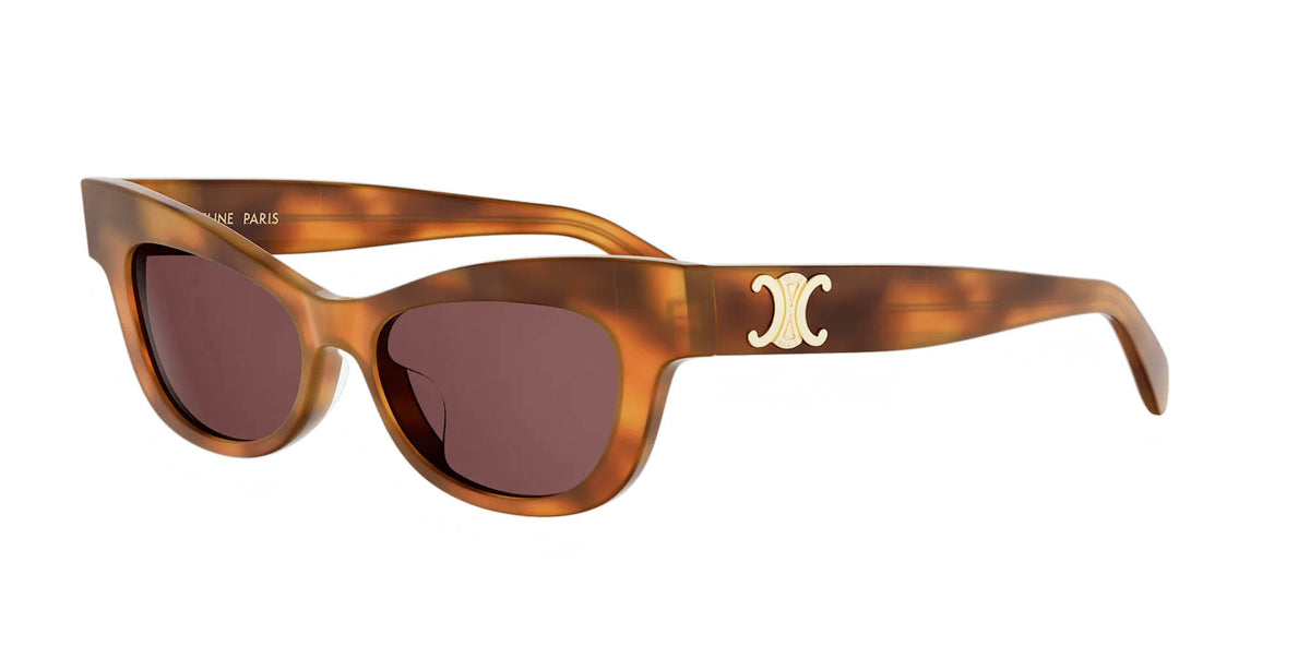 CELINE Triomphe CL40352U
