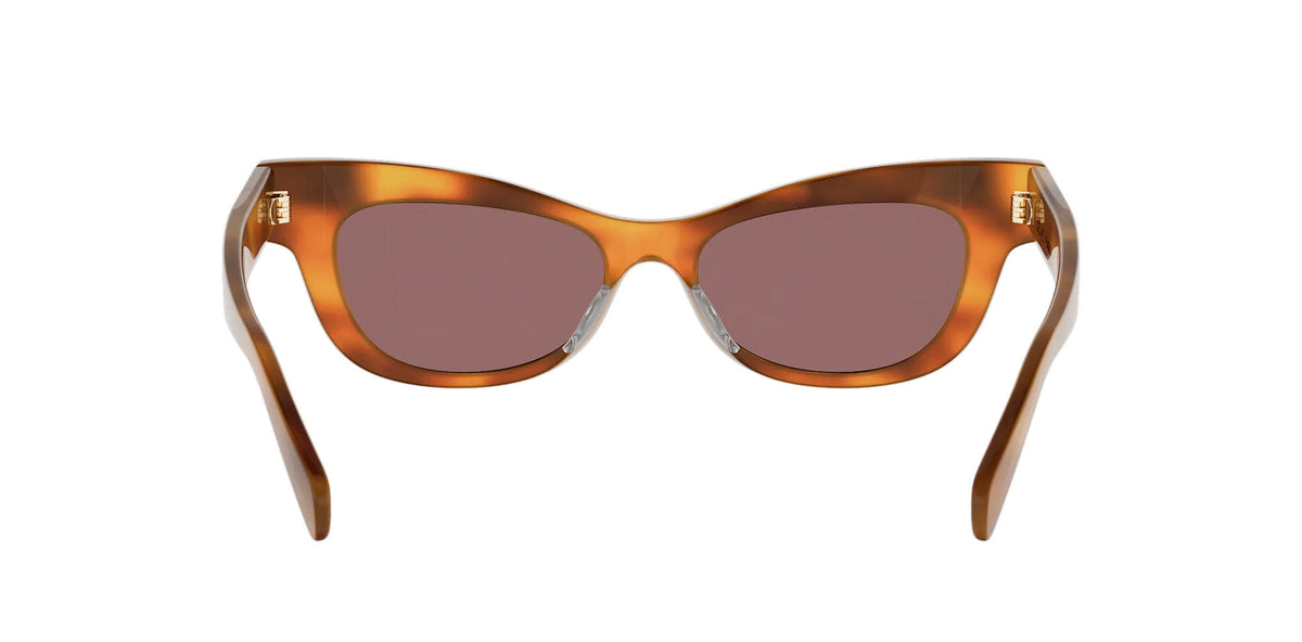 CELINE Triomphe CL40352U