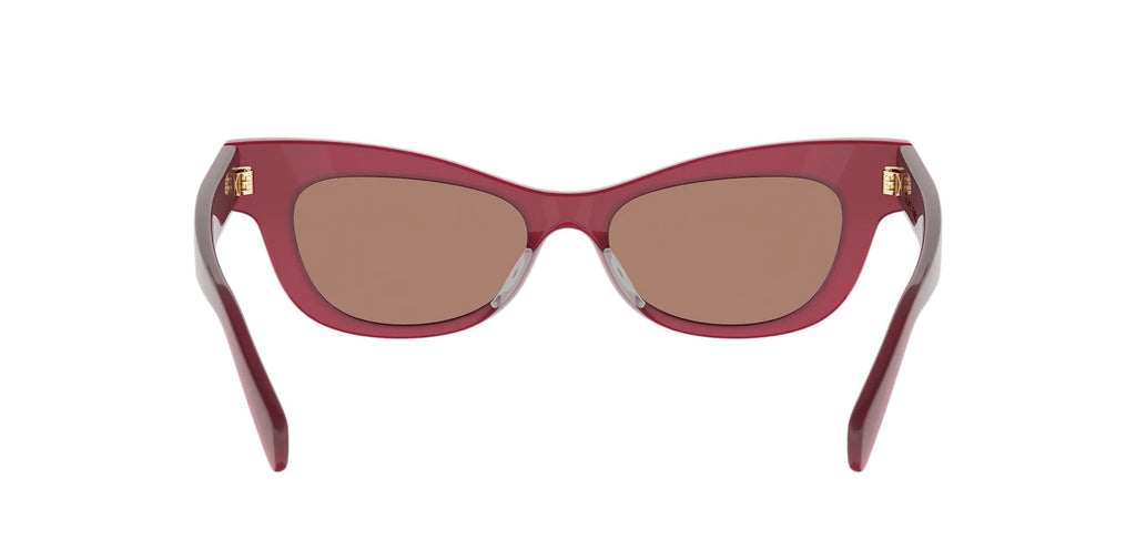 CELINE Triomphe CL40352U