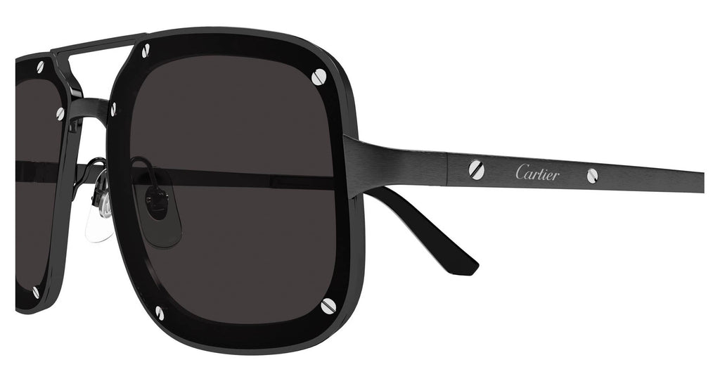 Cartier CT0194S
