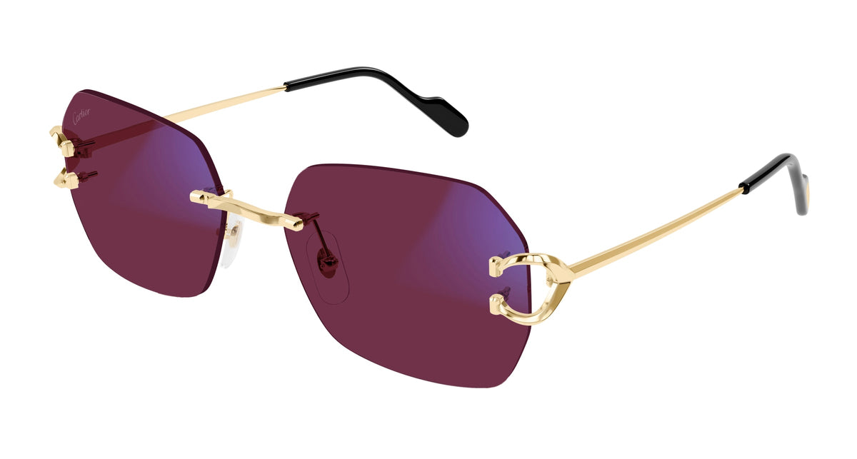 Cartier CT0416S