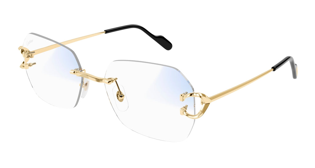 Cartier CT0416S
