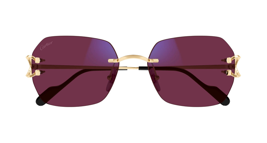 Cartier CT0416S
