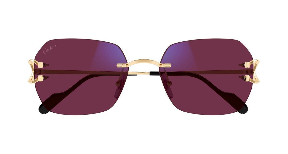 Cartier CT0416S