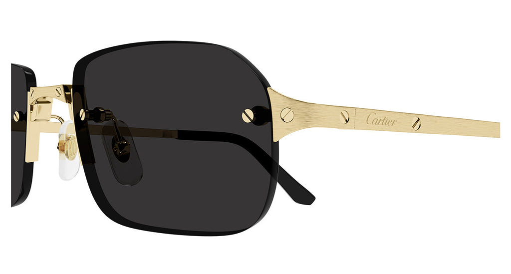 Cartier CT0460S