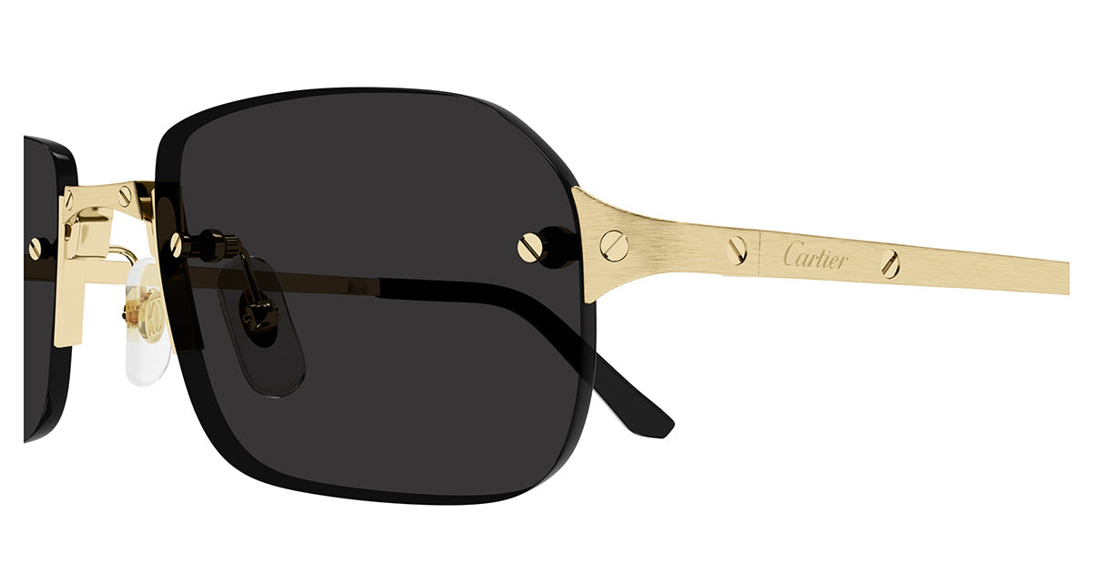 Cartier CT0460S