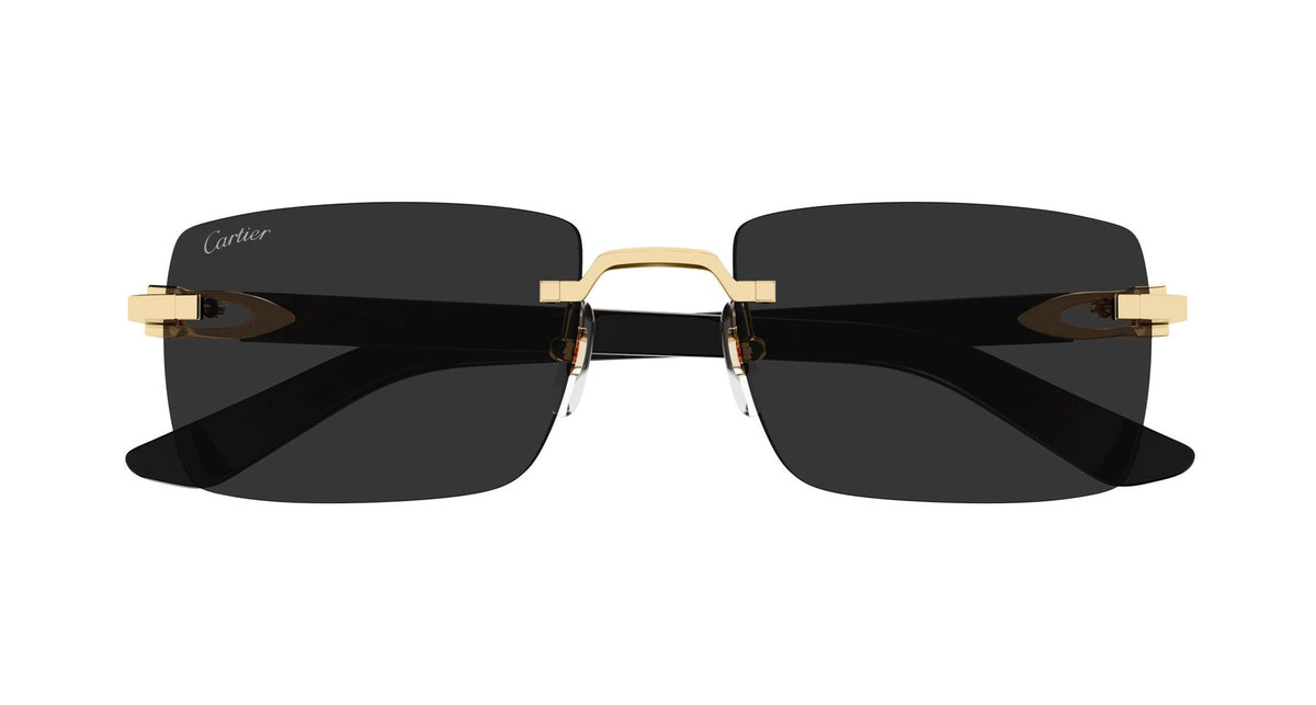 Cartier CT0579S
