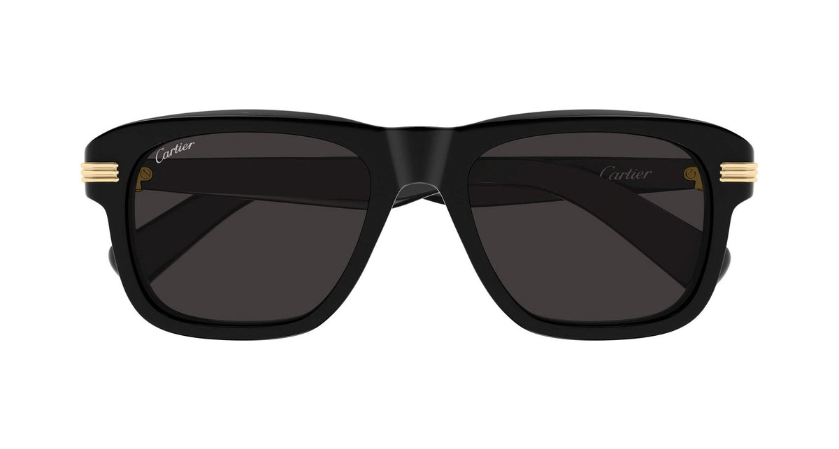 Cartier CT0657S
