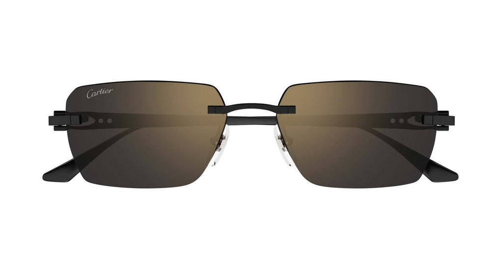 Cartier CT0660S
