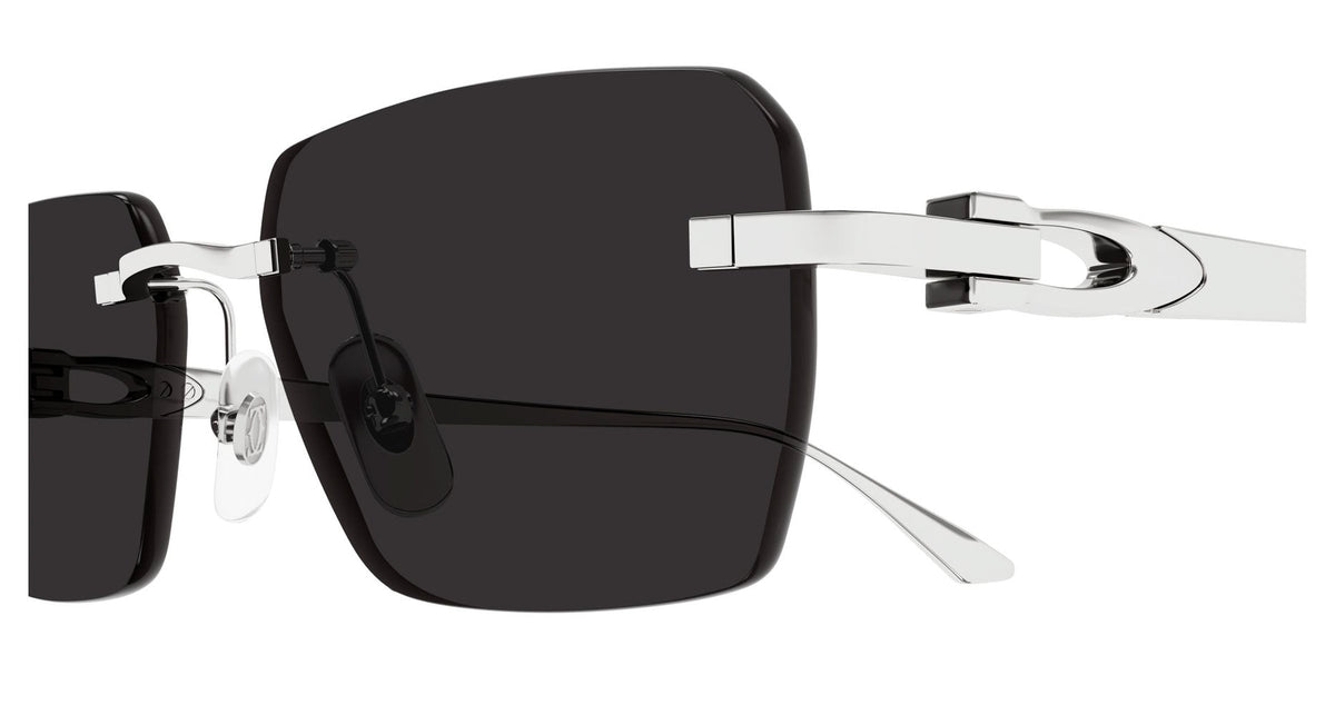 Cartier CT0660S