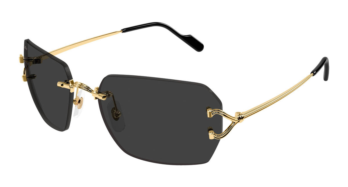 Cartier CT0664S