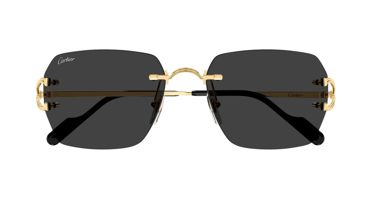 Cartier CT0664S
