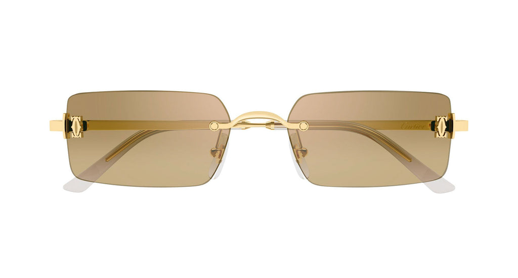 Cartier CT0672S