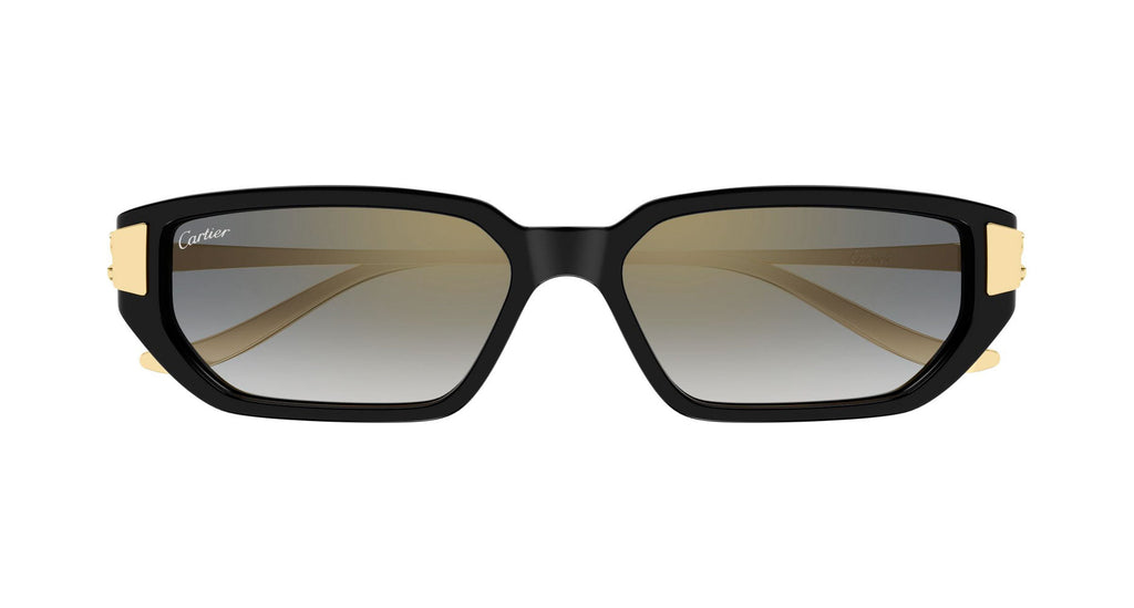 Cartier CT0674S