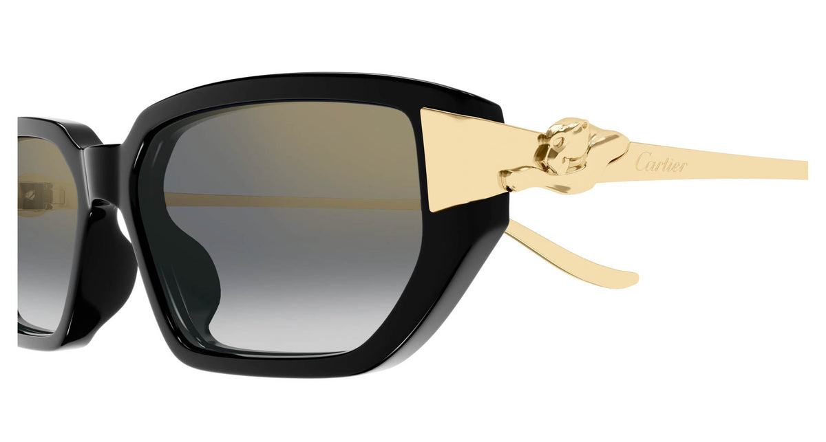 Cartier CT0674S