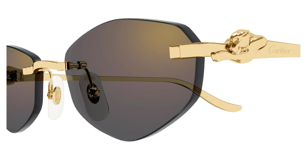 Cartier CT0675S