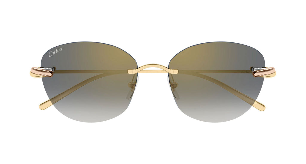 Cartier CT0685S