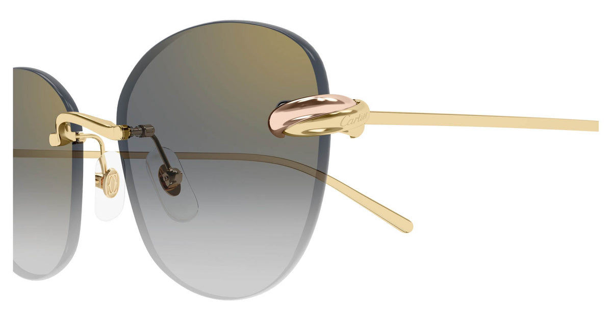 Cartier CT0685S