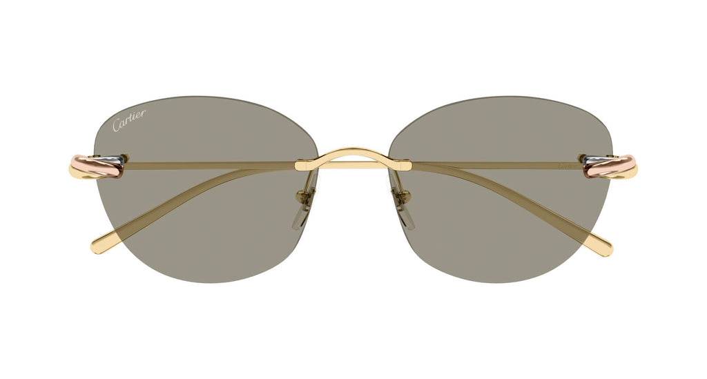 Cartier CT0685S