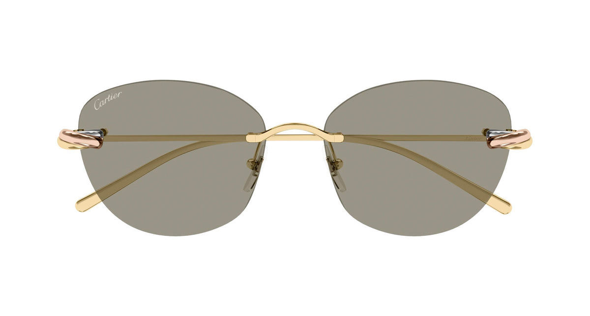 Cartier CT0685S