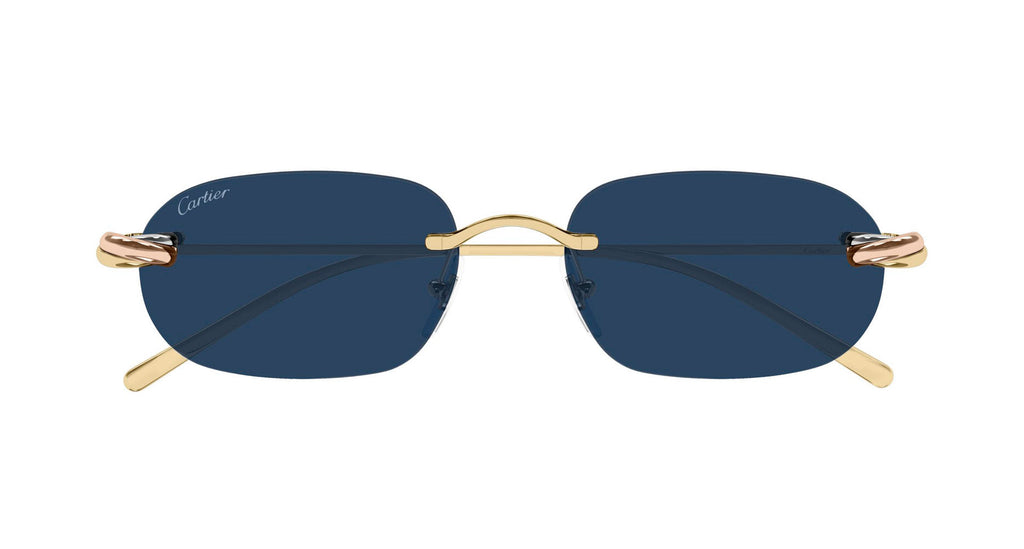 Cartier CT0686S