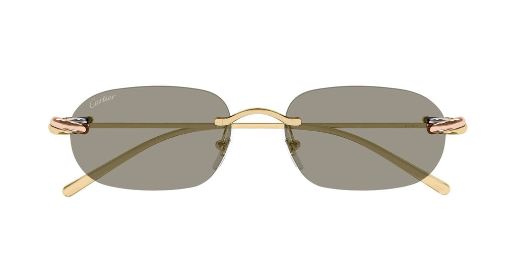 Cartier CT0686S