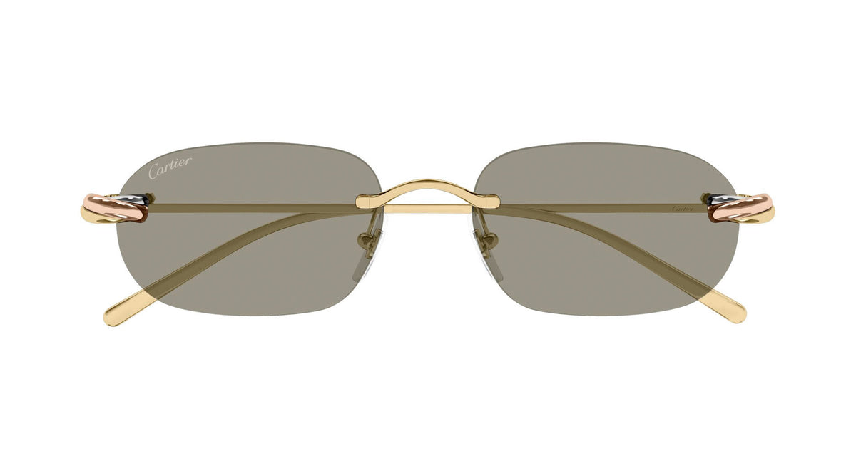 Cartier CT0686S