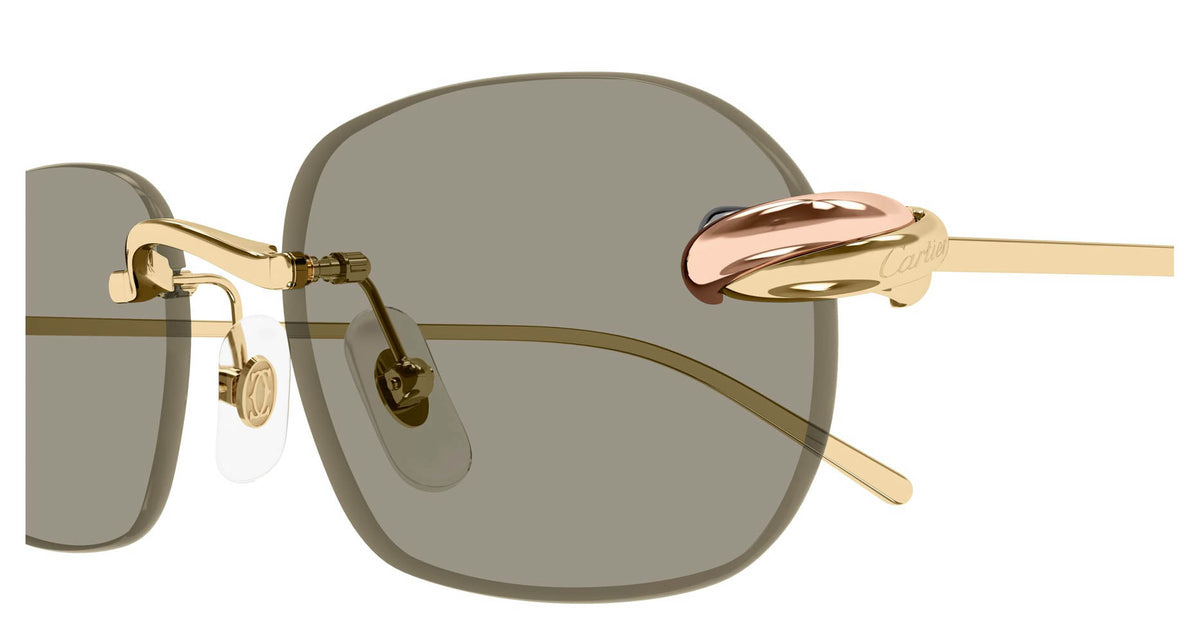 Cartier CT0686S