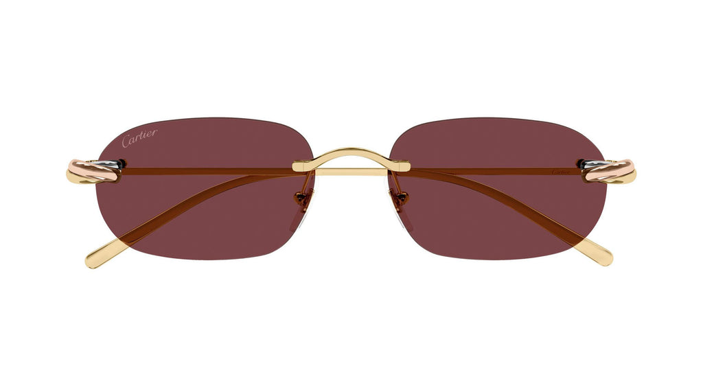 Cartier CT0686S