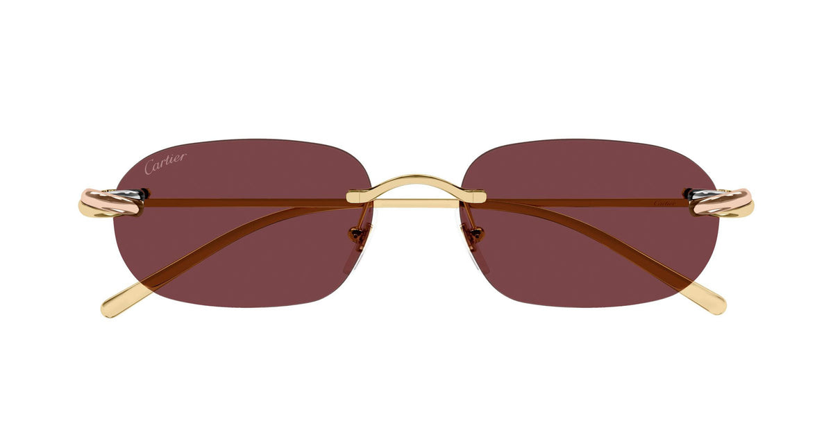Cartier CT0686S