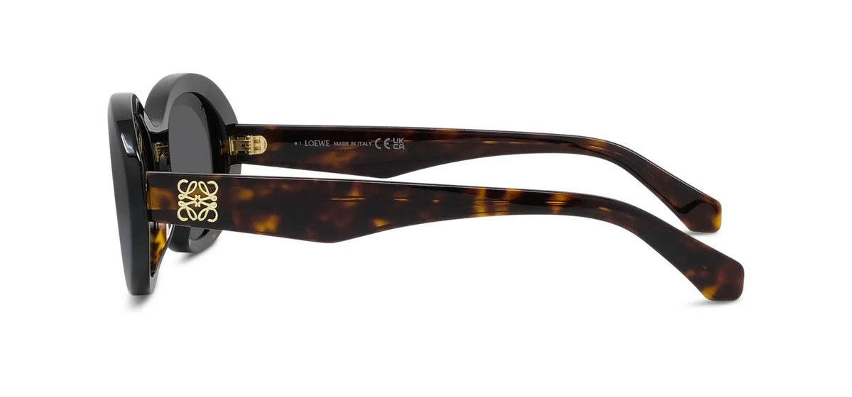 Loewe Anagram LW40190I