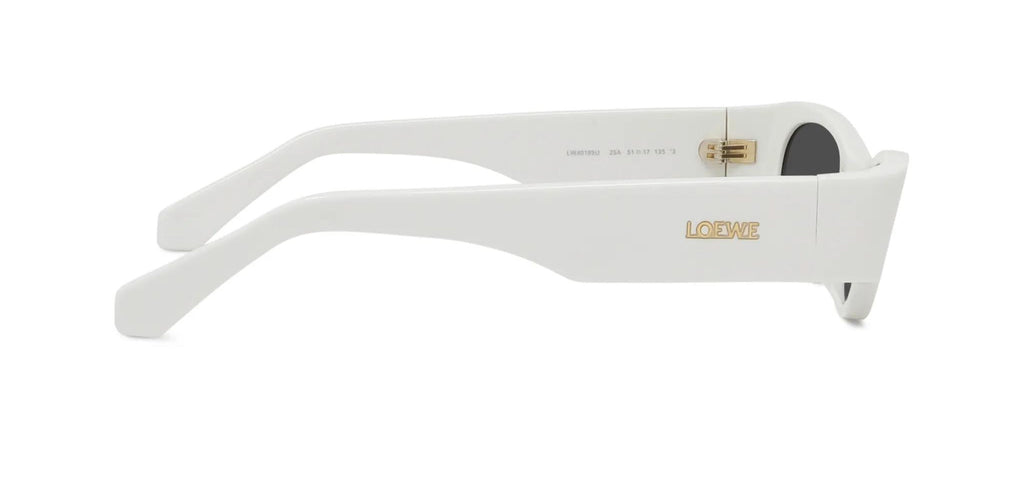 Loewe Signature LW40195U