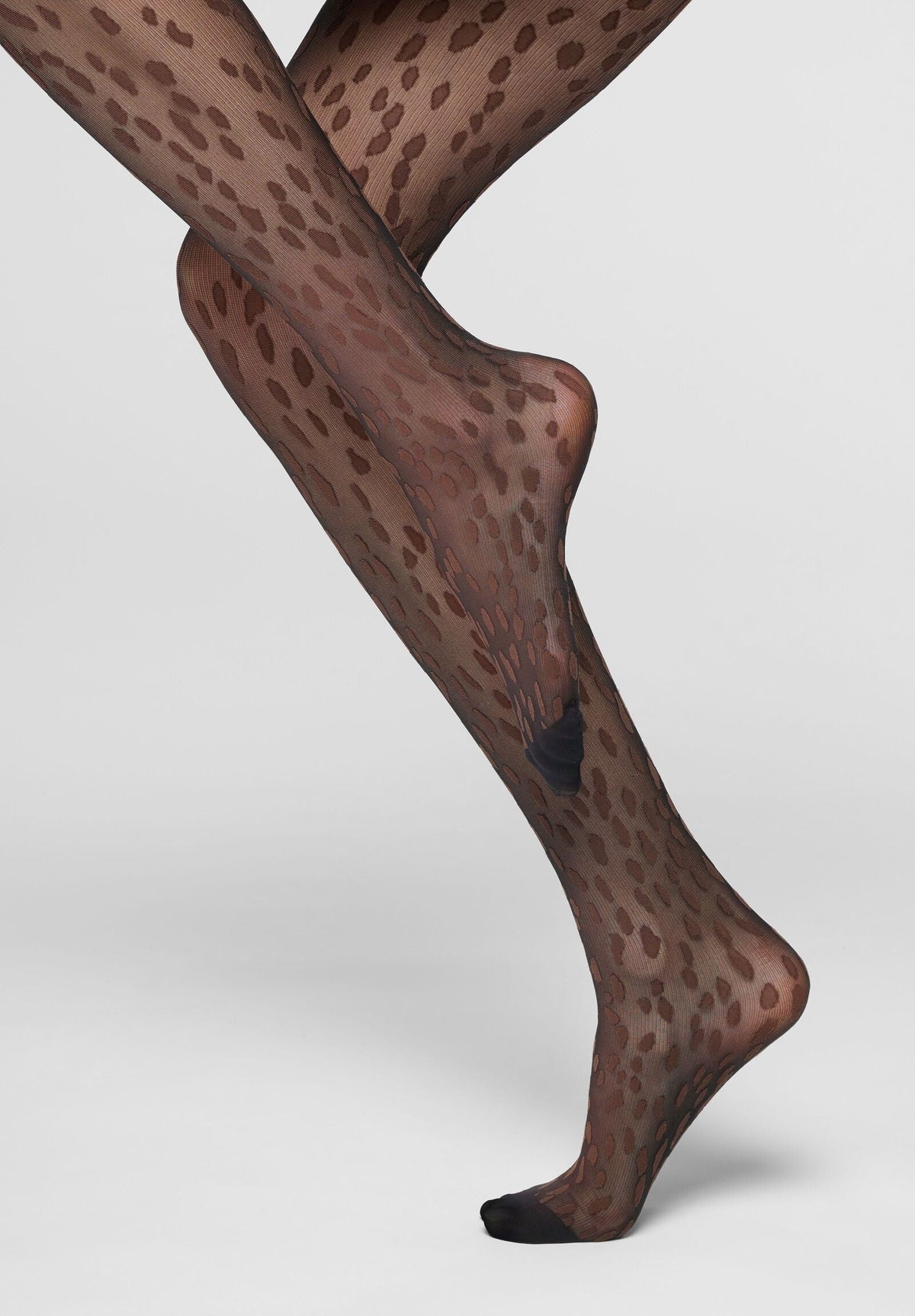 Abstract Wild Sheer Tights 30 - Black/Chocolate