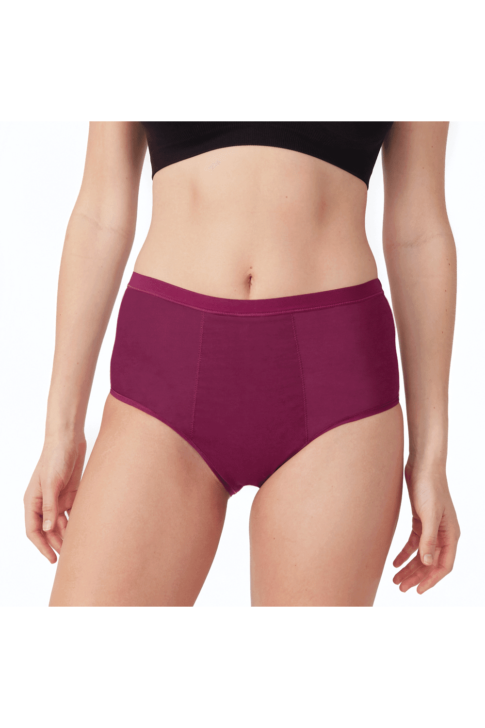 Period Full Brief Plum (1pcs)