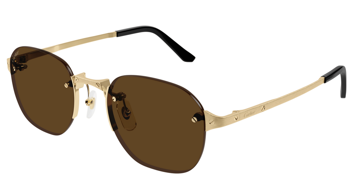 Cartier CT0459S