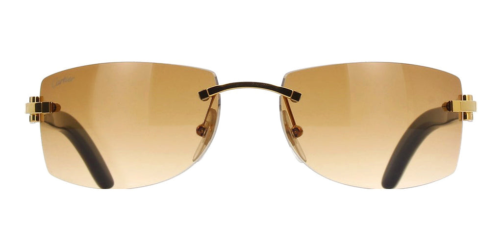 Cartier CT0017RS