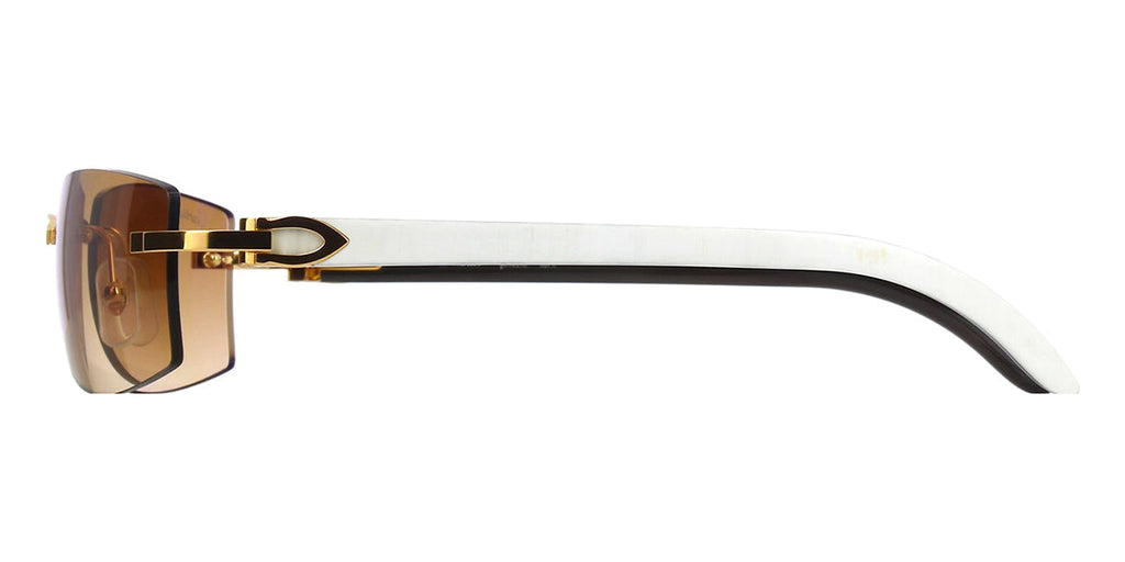 Cartier CT0017RS