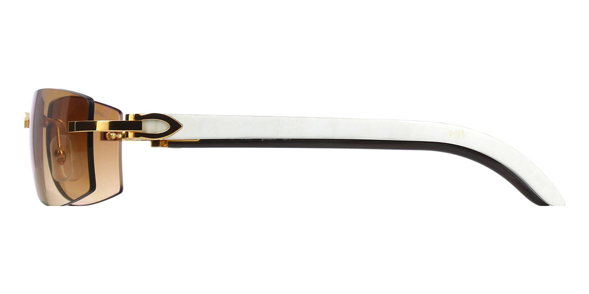 Cartier CT0017RS