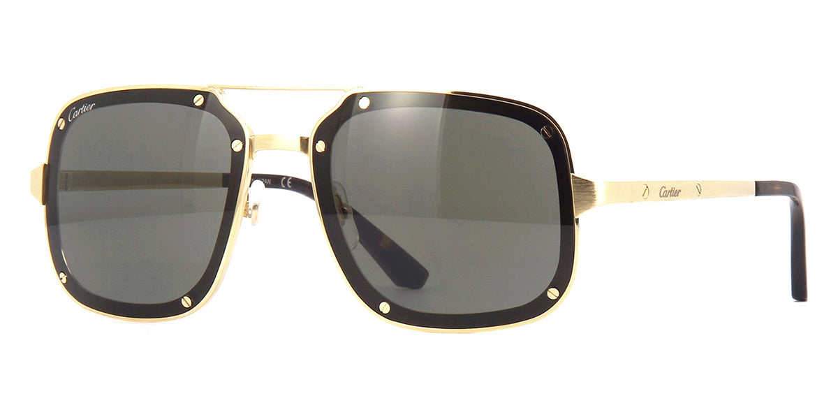 Cartier CT0194S