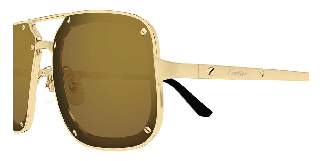 Cartier CT0194S