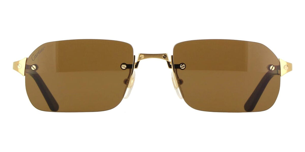 Cartier CT0460S