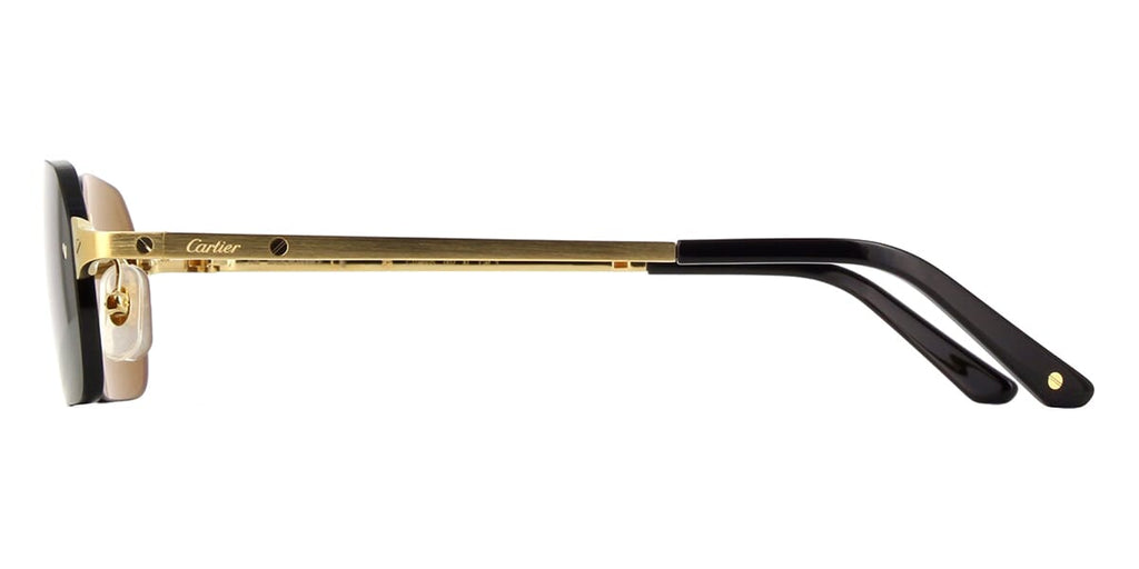 Cartier CT0460S