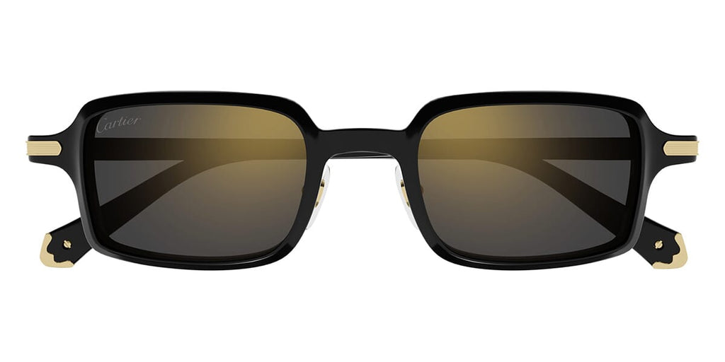 Cartier CT0539S