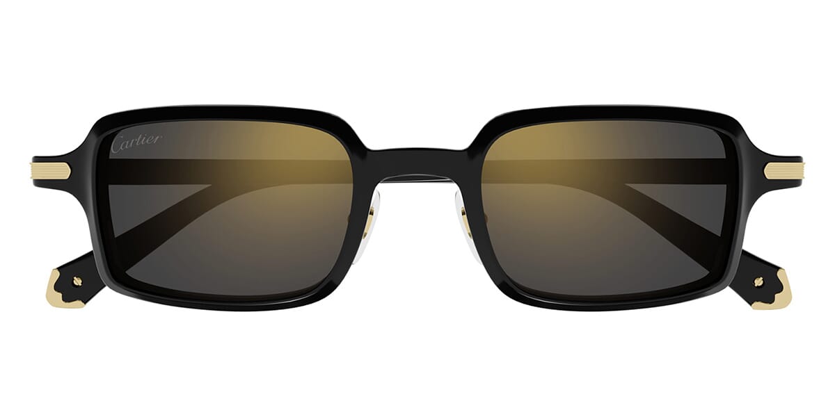Cartier CT0539S