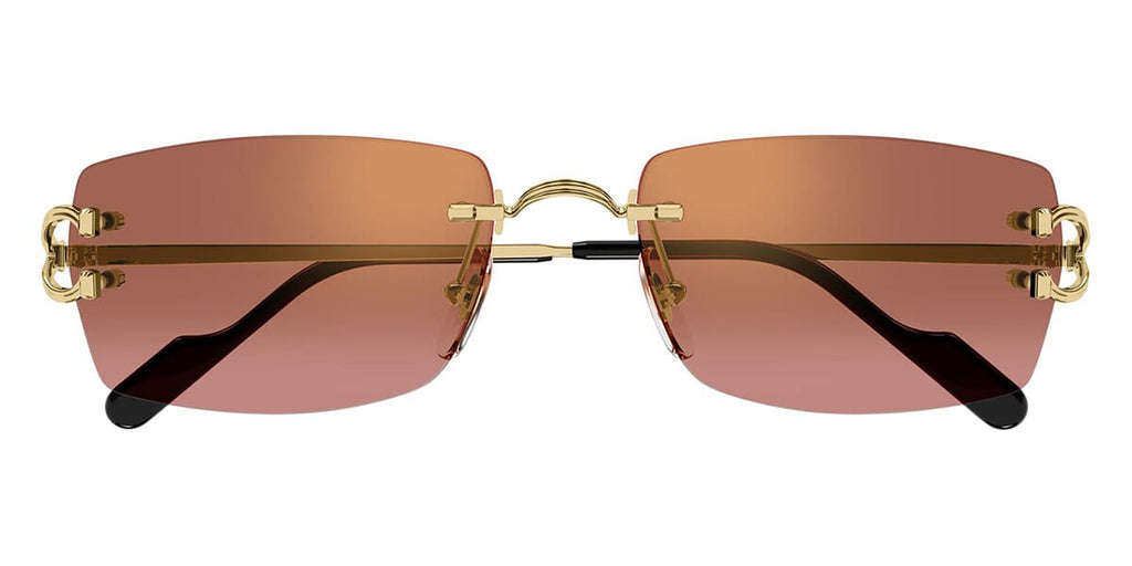 Cartier CT0550S