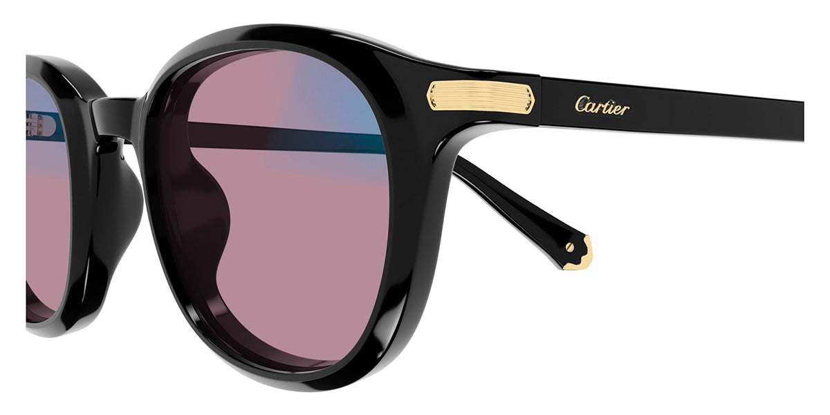 Cartier CT0584S