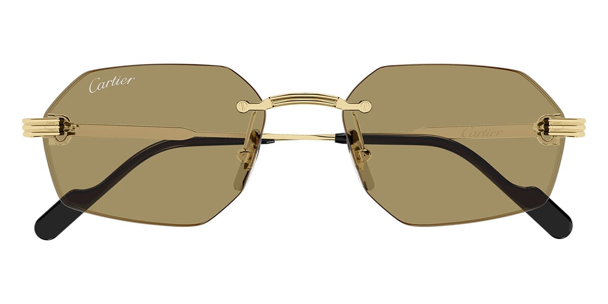 Cartier CT0616S