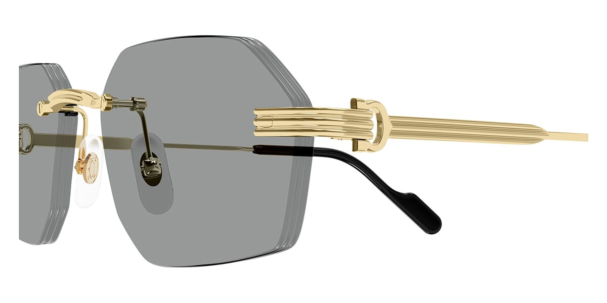 Cartier CT0616S